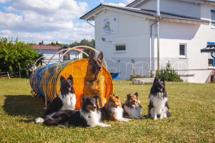 Jogis Hundeschule 060