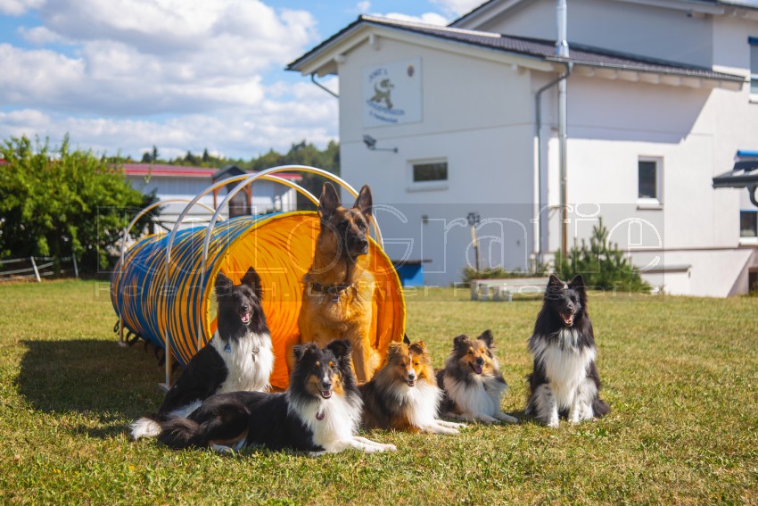 Jogis Hundeschule 063