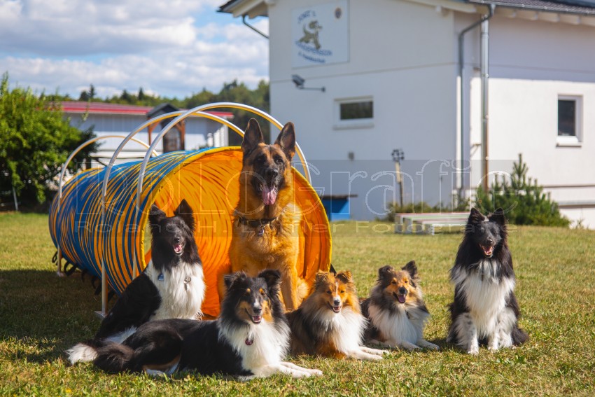 Jogis Hundeschule 068