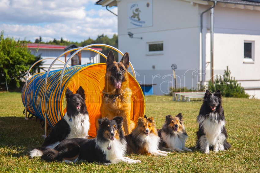 Jogis Hundeschule 069