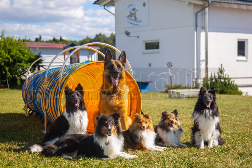 Jogis Hundeschule 070