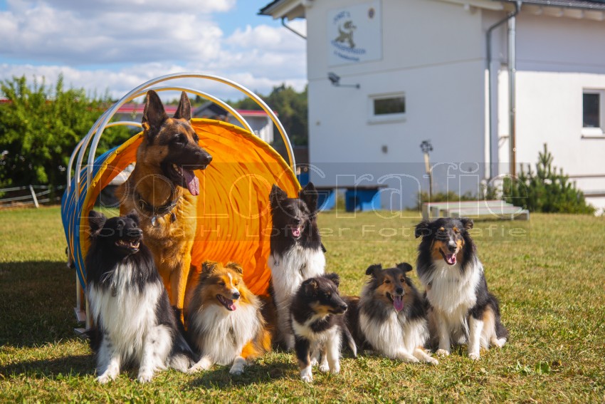 Jogis Hundeschule 072
