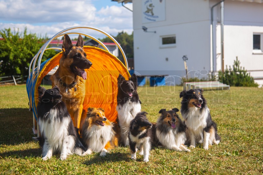 Jogis Hundeschule 073