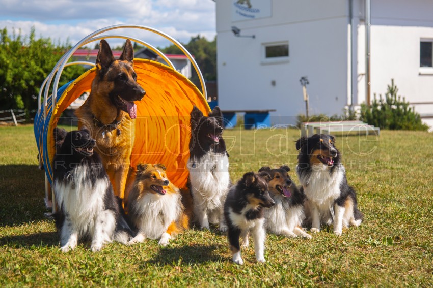 Jogis Hundeschule 076